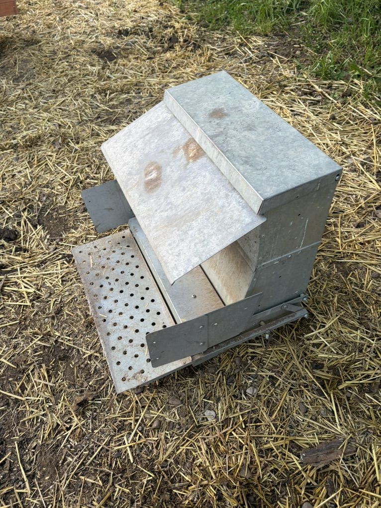 Chicken Feeder- Rodent Proof