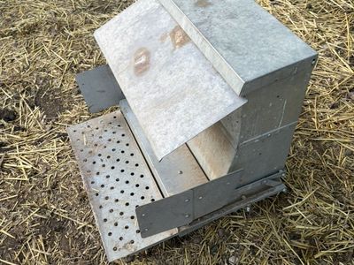 Chicken Feeder- Rodent Proof