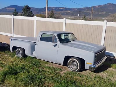1980 Chevrolet 1/2 Ton