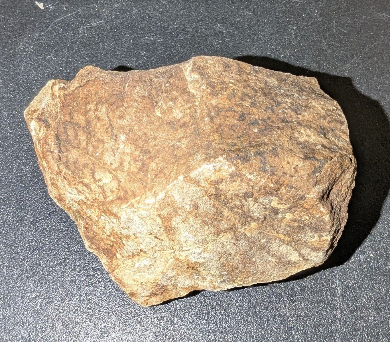 GOLD RICH ORE SPECIMEN FROM GOLD HILL UTAH