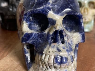 NEW Crystal 5" Skeleton SKULL Gemstone Natural Sodalite White Calcite Stone Home Decor Decoration Figurine Statue Collectible