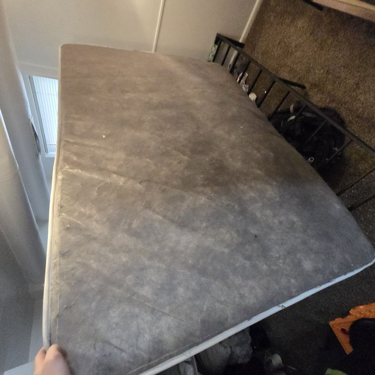 Main image 5