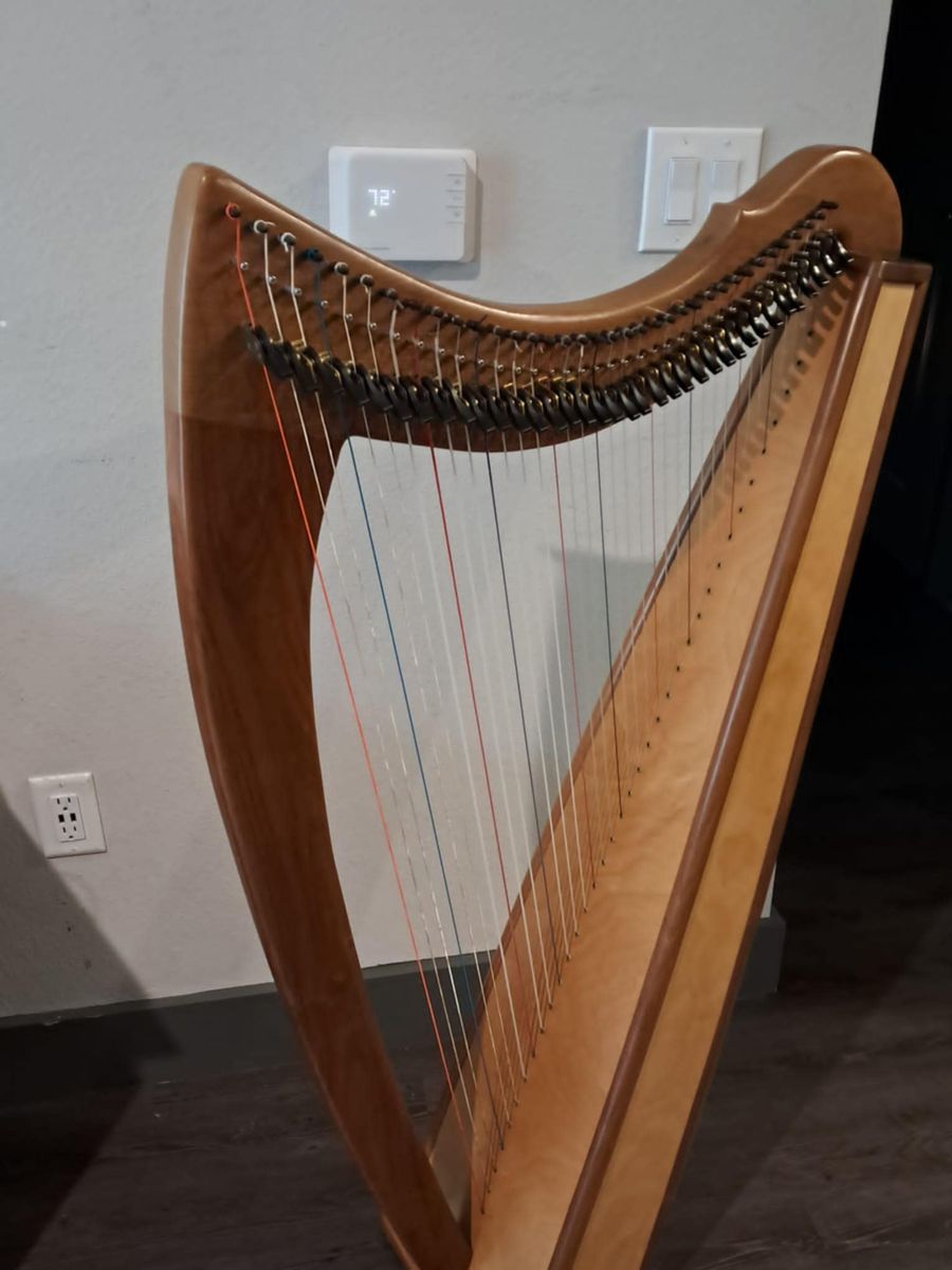 Blevinsong 36 with flight case
