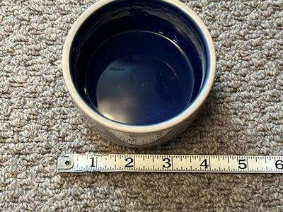 Small Reptile/Mammal bowls