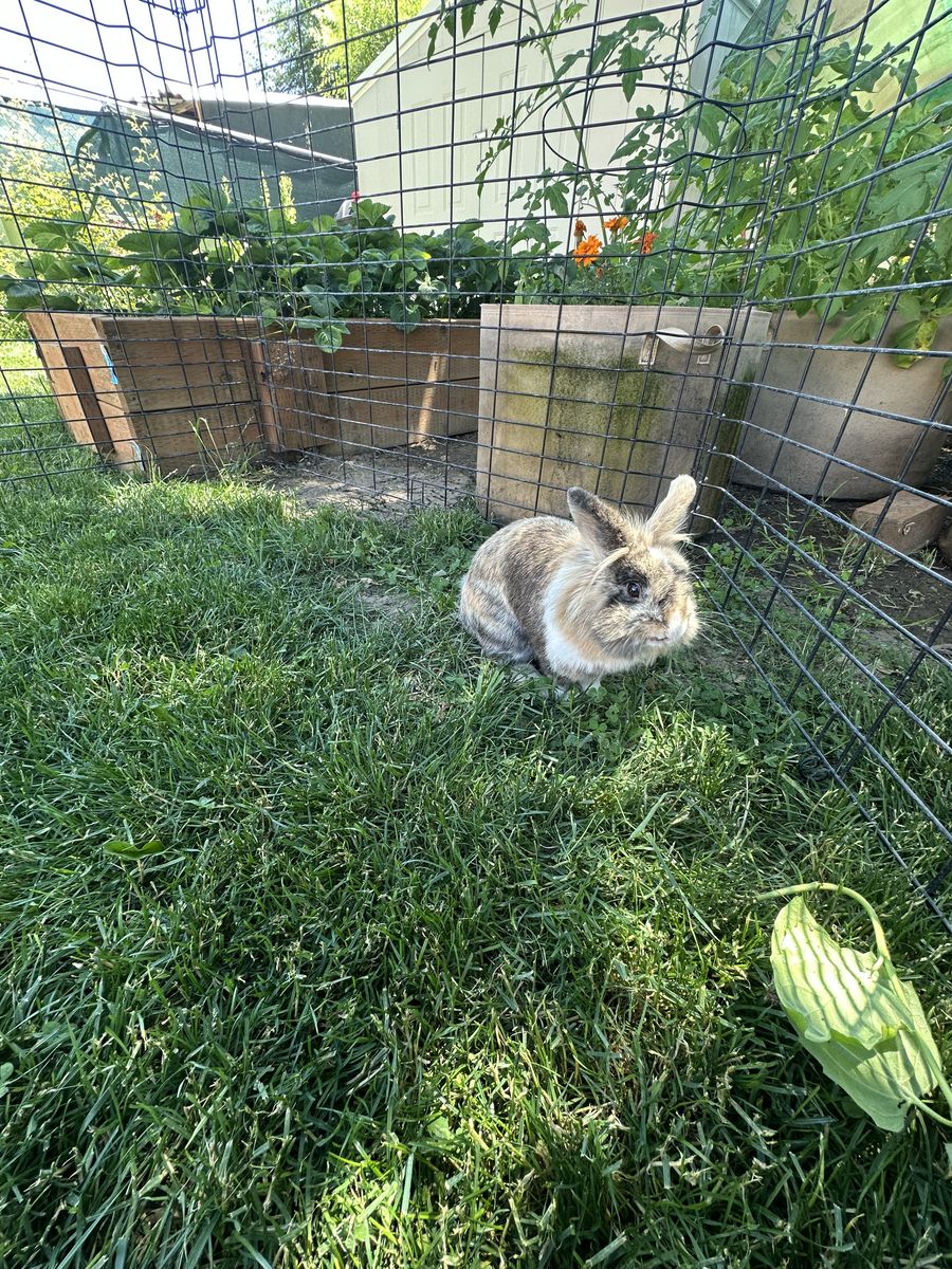 Main image 3