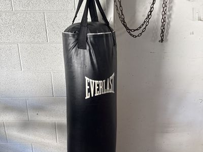Everlast Heavy Bag - 80 lbs Black Punching Bag with hanging straps & Carabiner