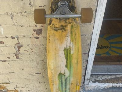 45" sector9 long board