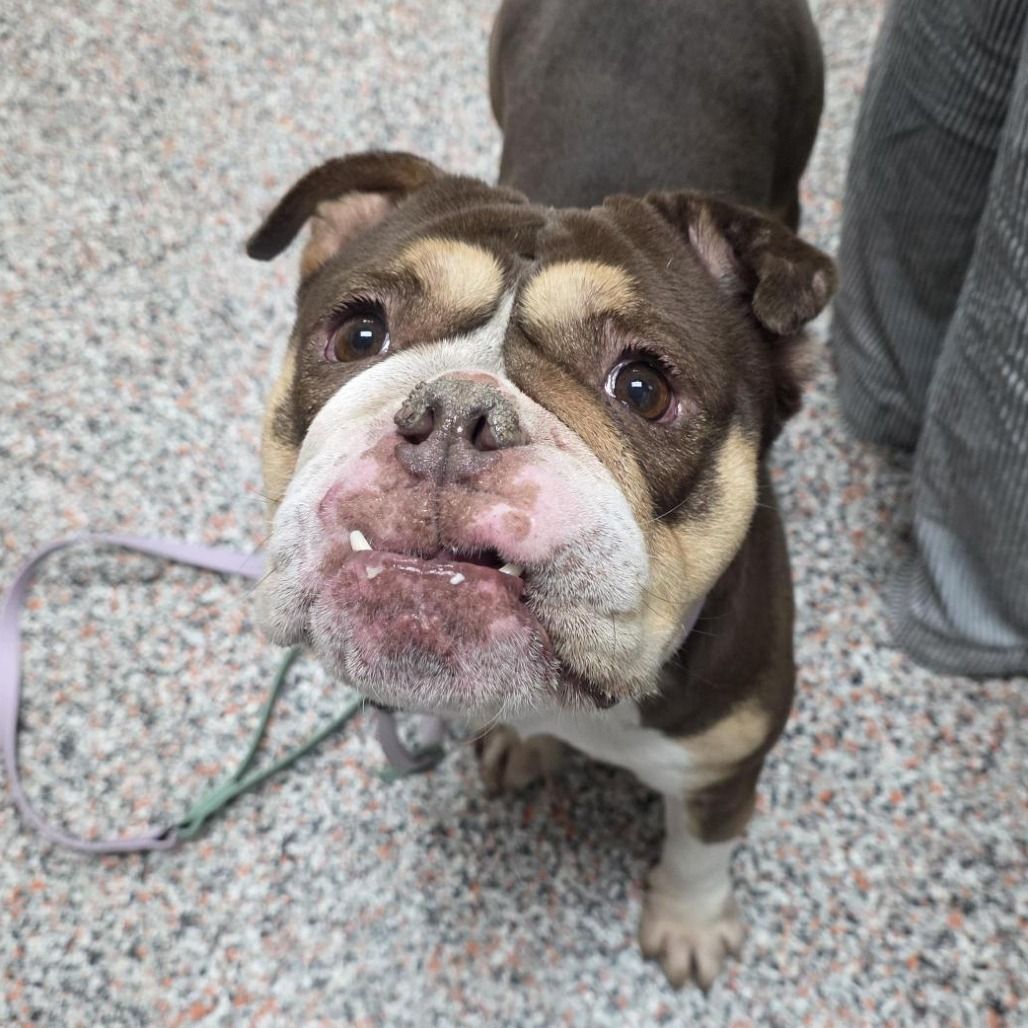 Hello my name is Rhonda