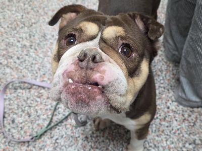 Hello my name is Rhonda