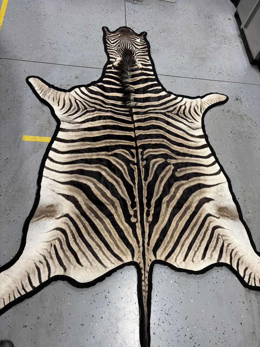Zebra Skin Rug