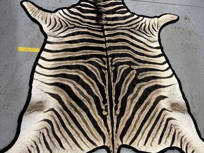 Zebra Skin Rug