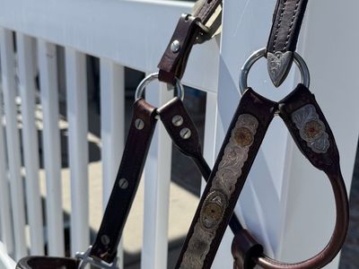 Petite Horse Show Halter and Lead