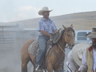 2020 AQHA Mare By Tinker With Guns