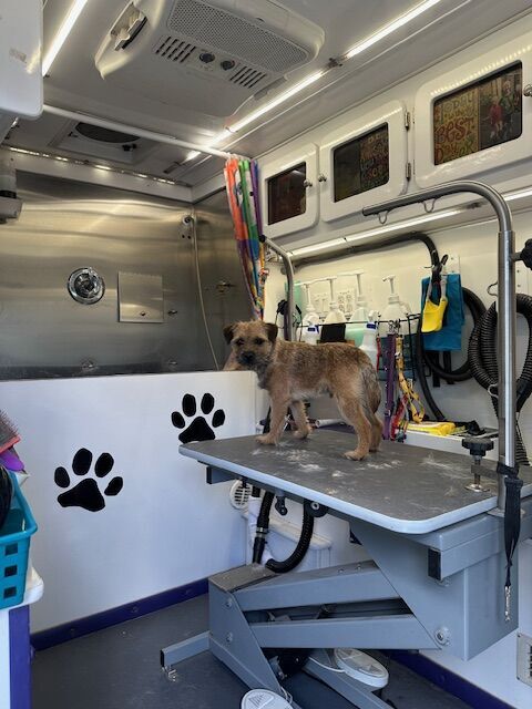 Established Mobile Dog Grooming Business- with room to grow!