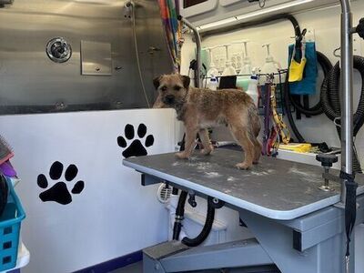Established Mobile Dog Grooming Business- with room to grow!