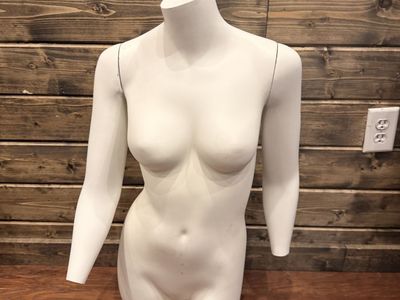 Mannequin bust
