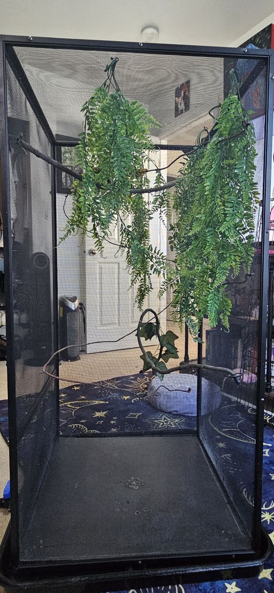2x2x4 Reptibreeze chameleon cage enclosure
