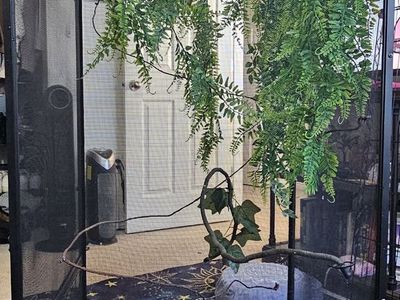 2x2x4 Reptibreeze chameleon cage enclosure