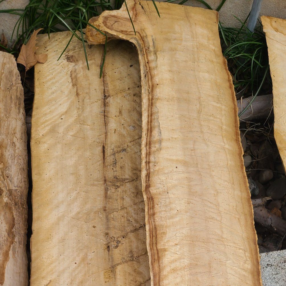 Cottonwood Slabs-(pic 3) $5 Board Foot