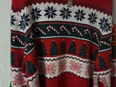 New adult Children's Place Christmas sweater