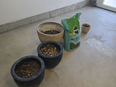 5 Planter Pots & a full bag of Miracle Grow!