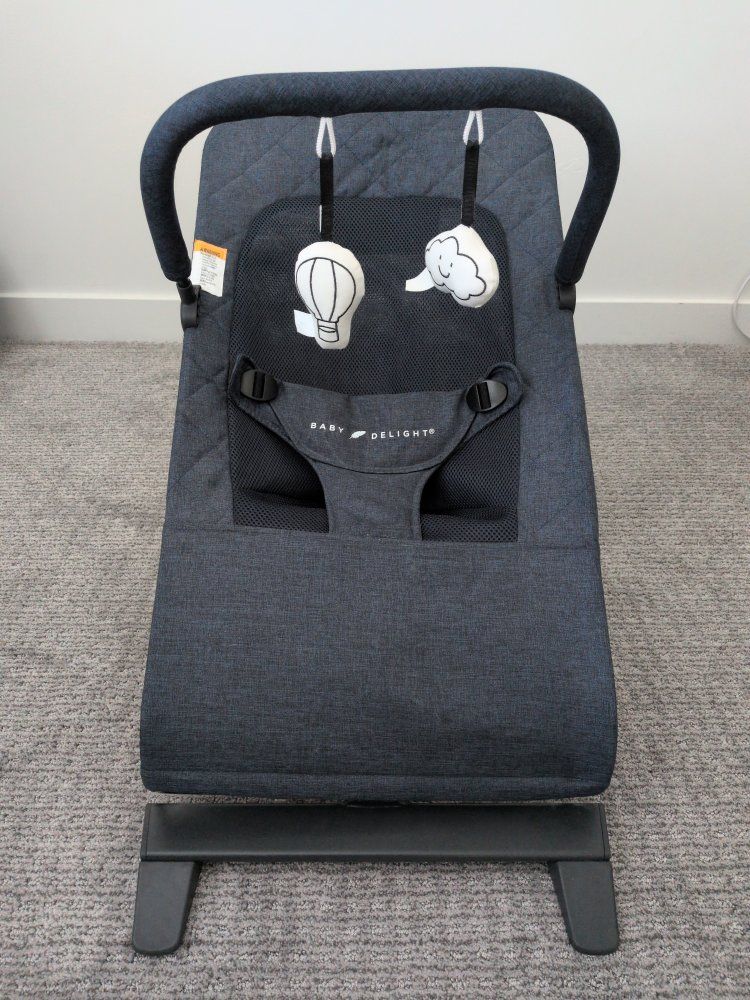 Baby Delight Alpine Deluxe Portable Infant Bouncer - Navy Tweed