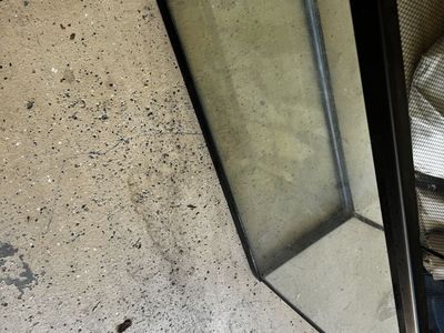 Glass Terrarium Tank with Screen Top Used