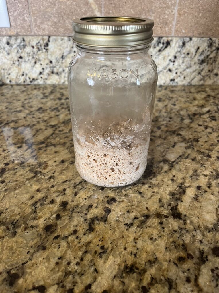 Sourdough Starter W/Jar