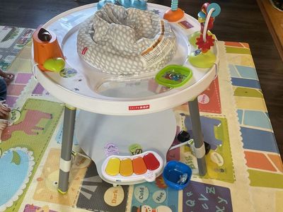 Fisher Price Skip Hop Activity Table