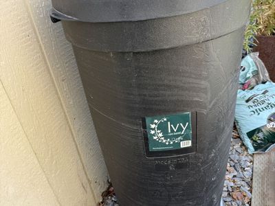 Rain Barrel