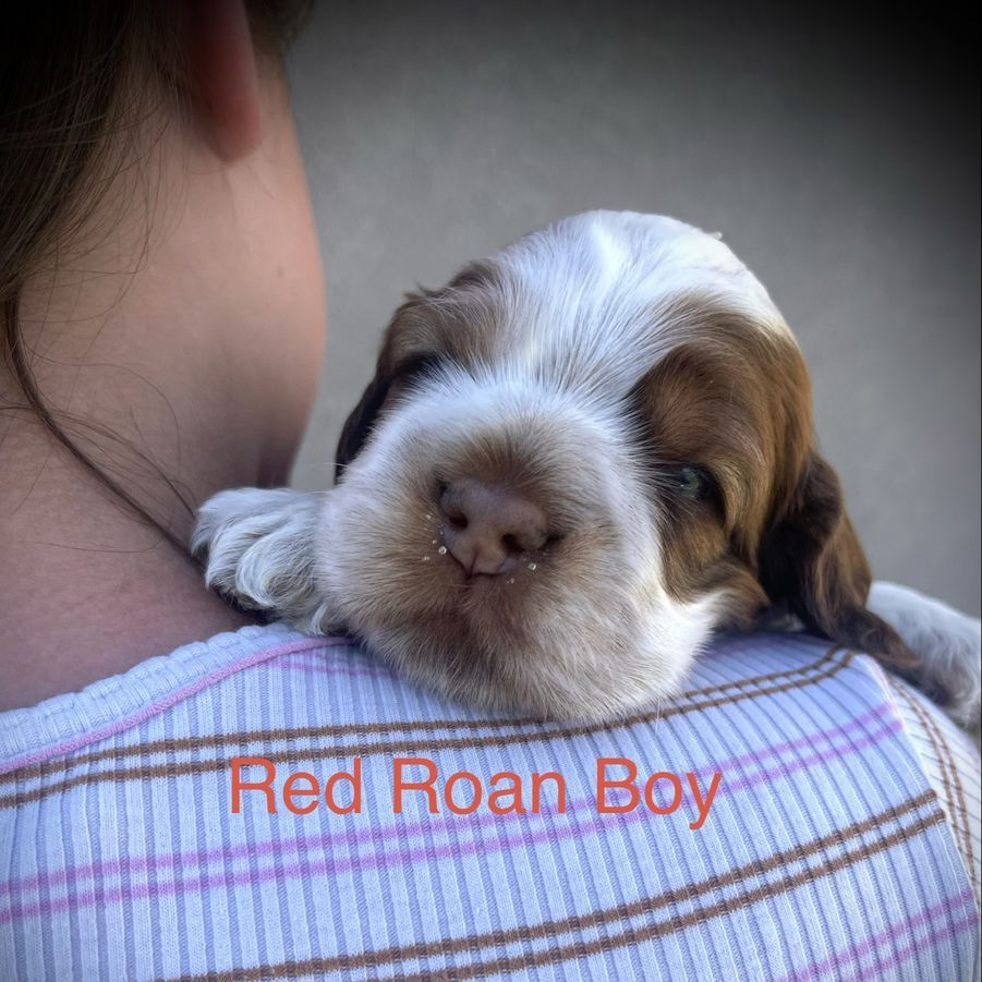 Main image 7