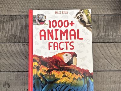 Miles Kelly 1000+ Animal Facts Hardcover Book - Educational Children's Non-Fiction