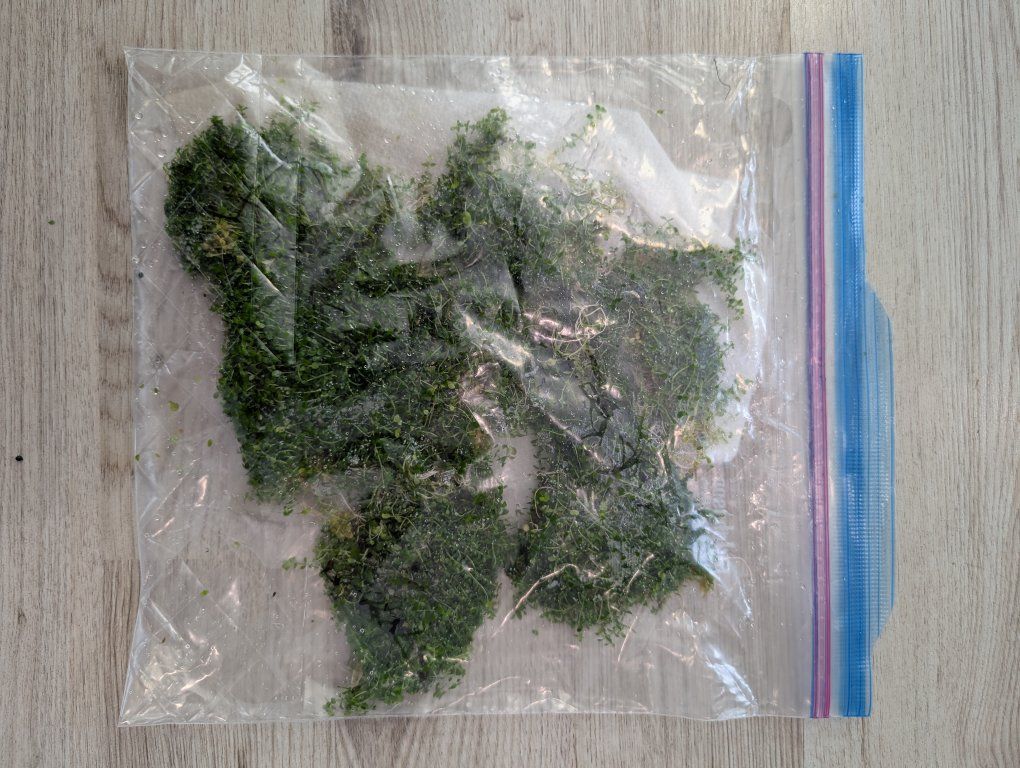 Main image 2
