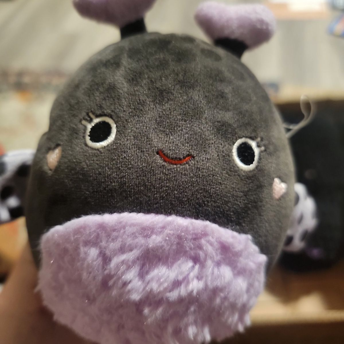 Squishmallow bug