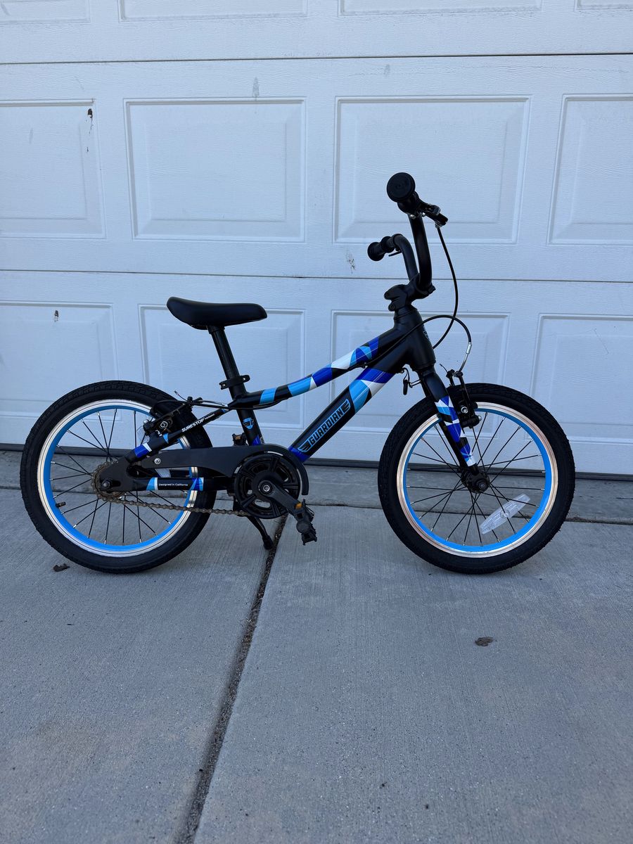 Guardian 16 inch bike