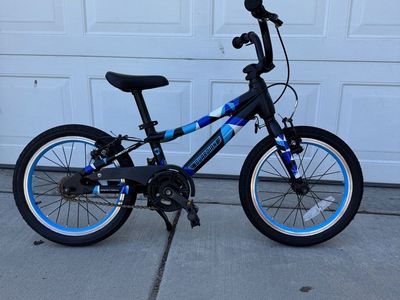 Guardian 16 inch bike