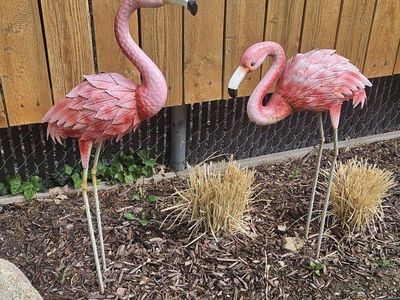 Metal Flamingos