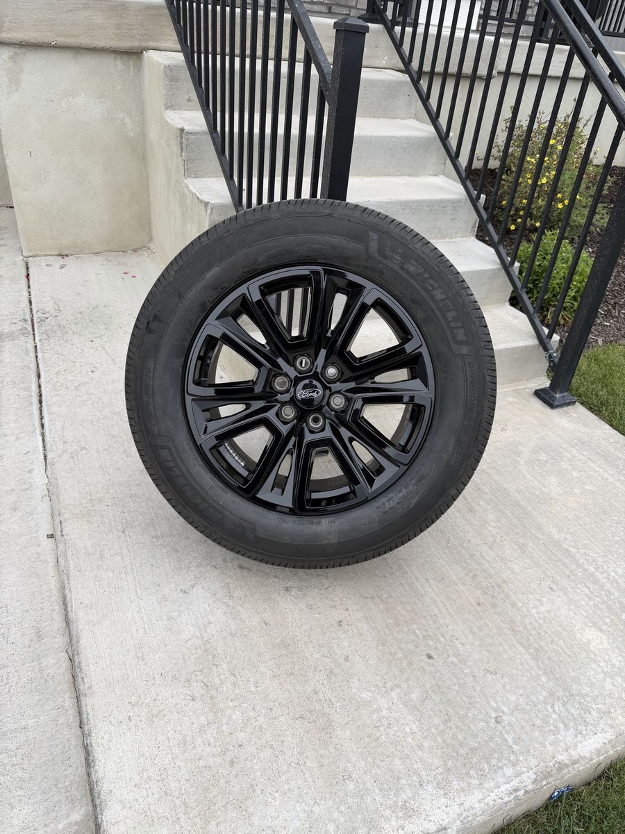 Ford F150 Expedition Rims and Tires 275/60R20 Michelin LTX MS2