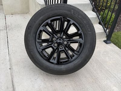 Ford F150 Expedition Rims and Tires 275/60R20 Michelin LTX MS2