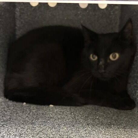 Hello my name is Yuli