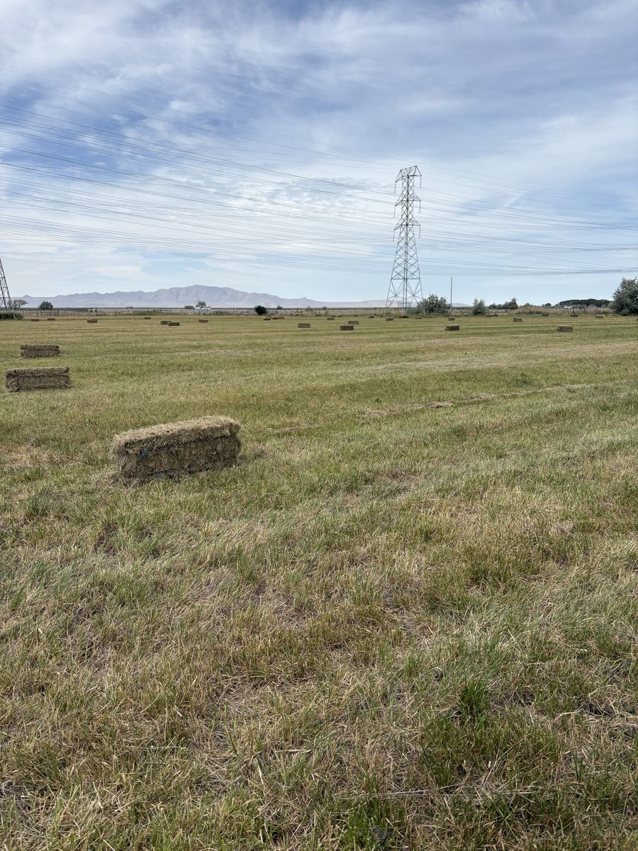 Main image 4