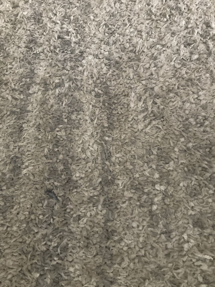 8 x 10 Rug