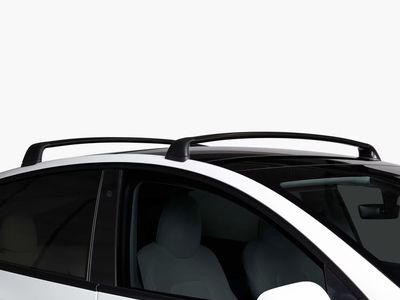 Tesla Roof Rack for Model Y