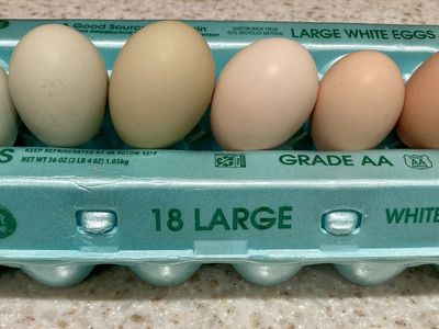Fresh Farm Eggs
