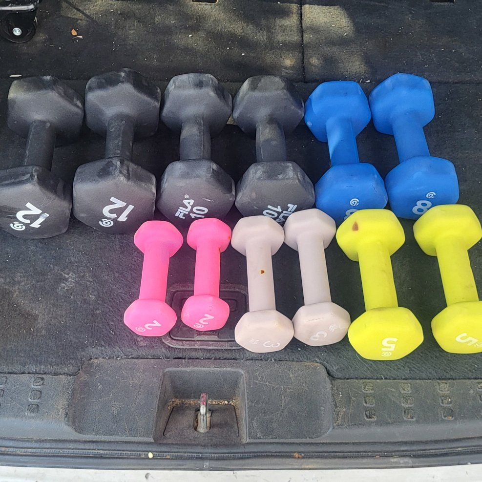 dumbbells 80 pounds