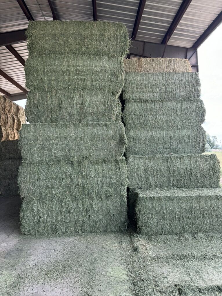 Alfalfa Bales