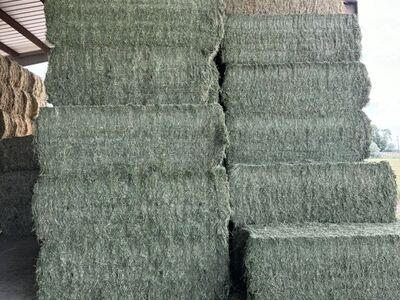 Alfalfa Bales