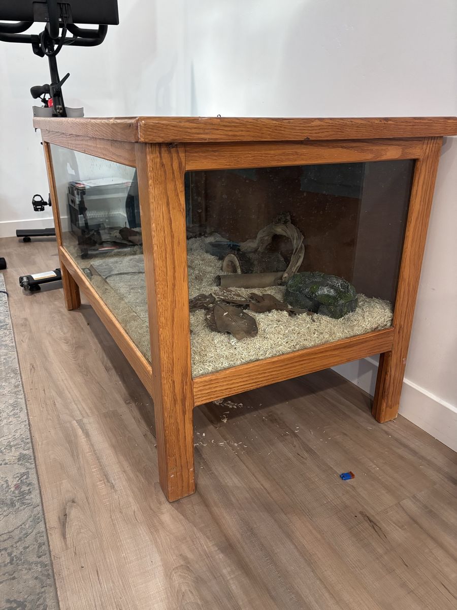 Main image 4