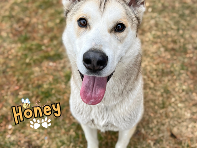 Honey Waiting for Her Second Chance