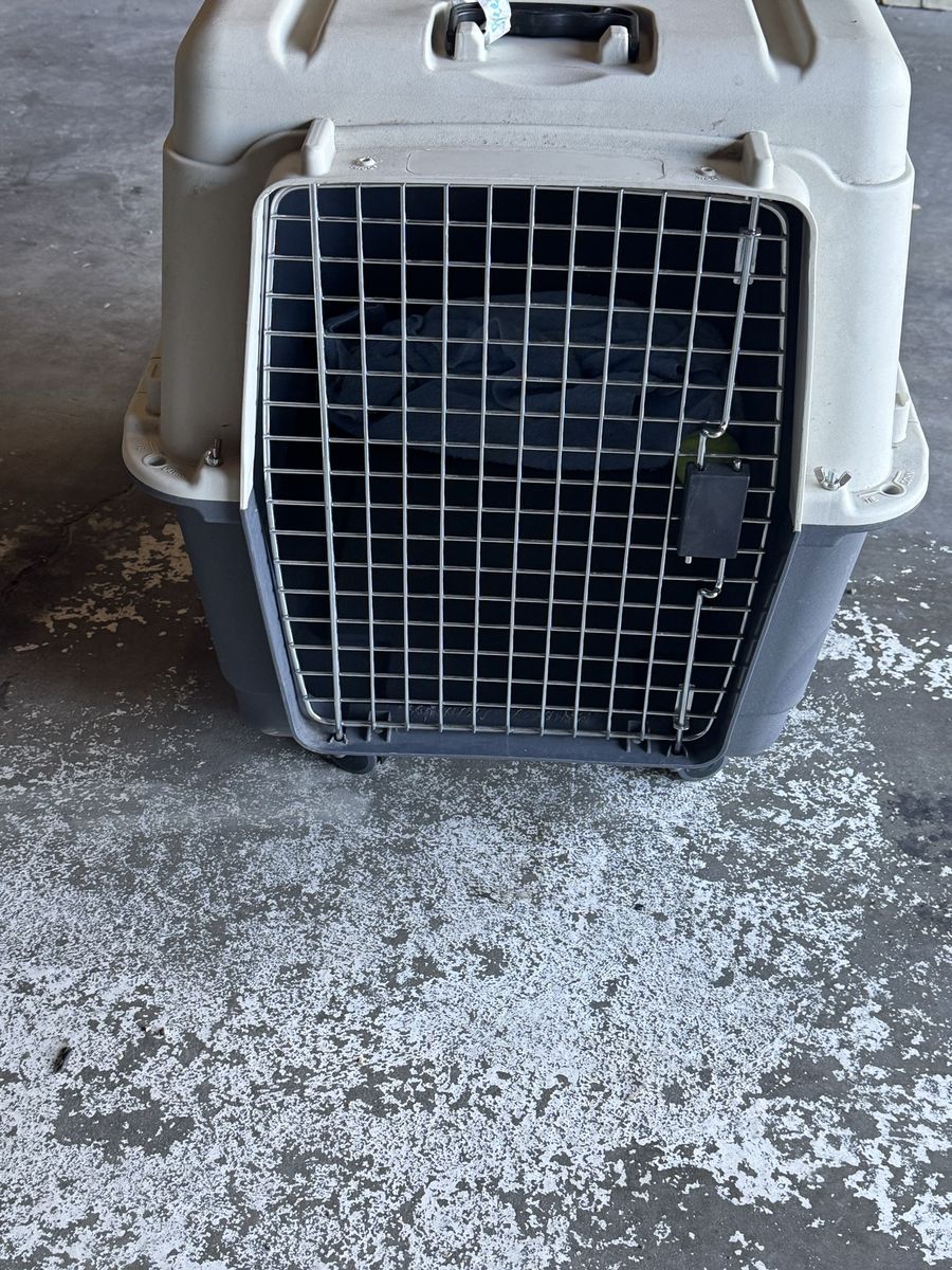 Medium Pet Carrier Dog Kennel Crate - Wire & Plastic, Excellent Condition